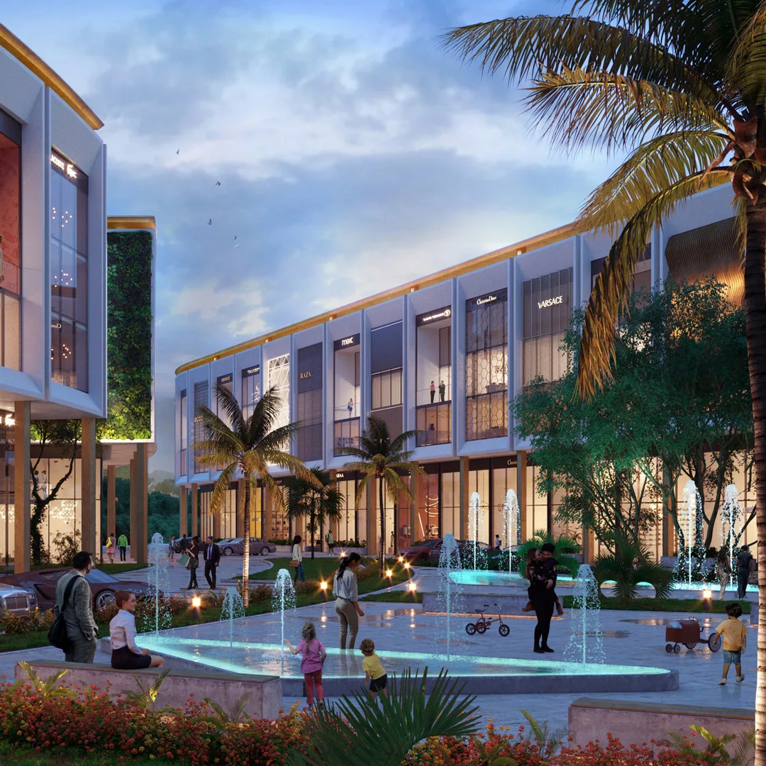 DLF SCO Plots Highlights