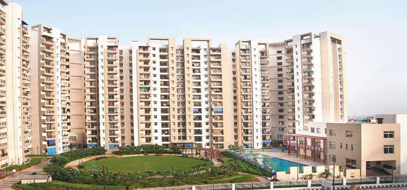 DELUXE DXP Commercial