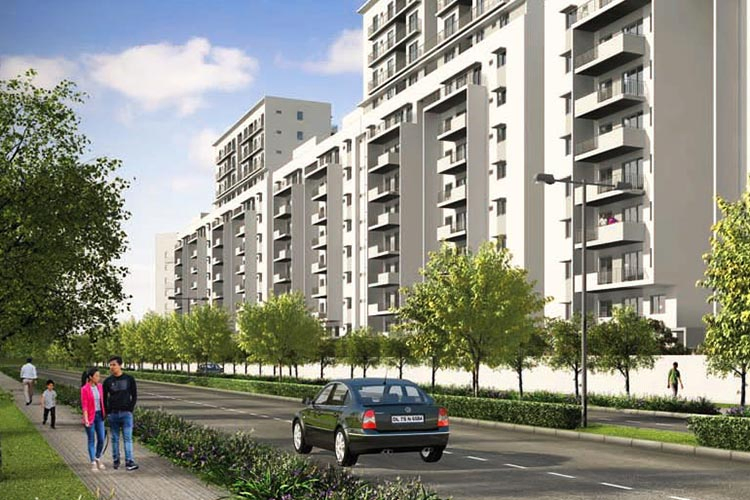 Vatika Turning Point Highlights